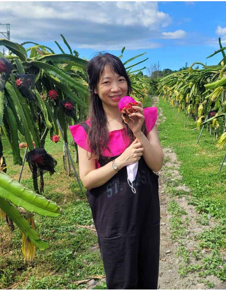火龍果果實果園