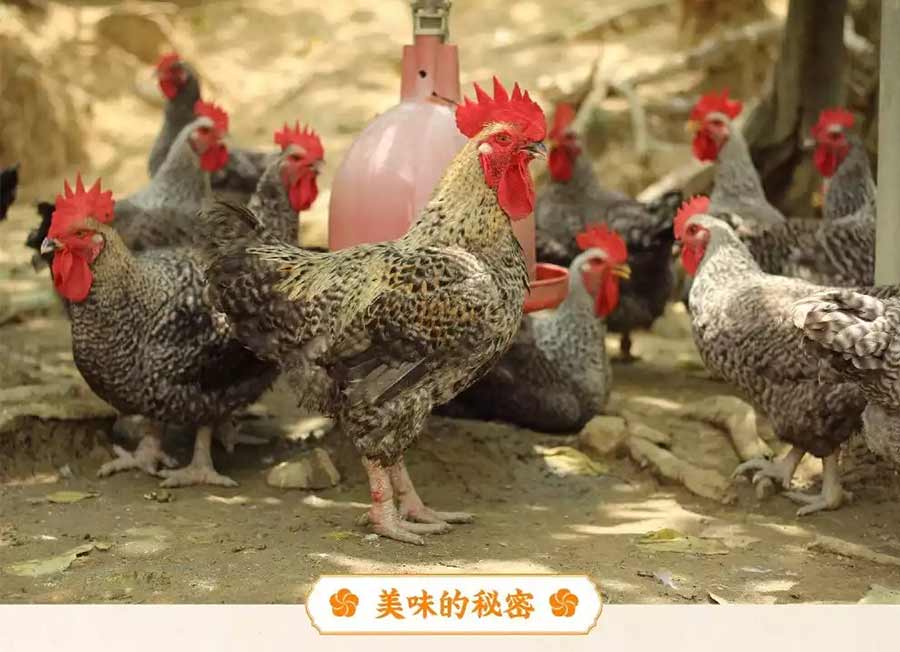 美味的秘密