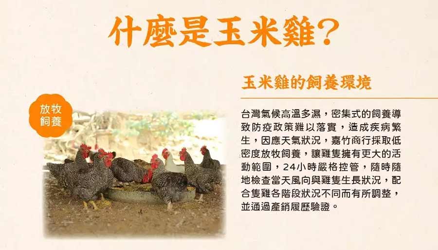 什麼是玉米雞