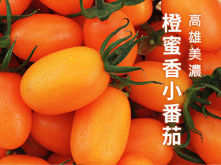 高雄美濃 橙蜜香小番茄