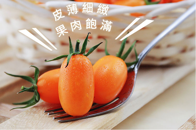 橙蜜香小番茄皮薄細緻、果肉飽滿