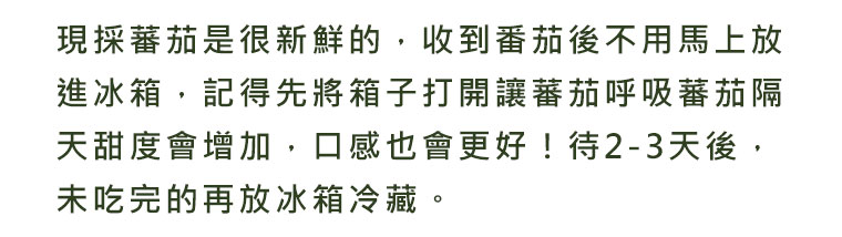 現採蕃茄是很新鮮的