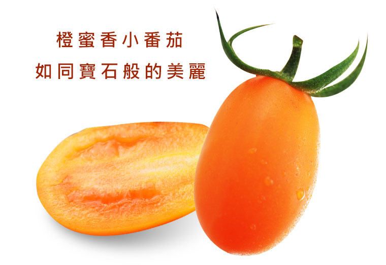 橙蜜香小番茄每顆看起來都如此耀眼，如同寶石般的美麗。