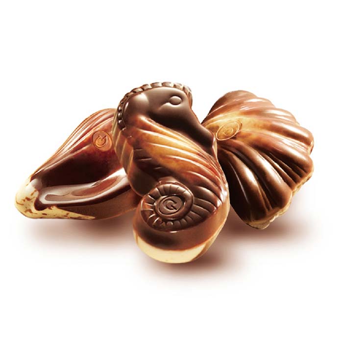 海馬造型巧克力