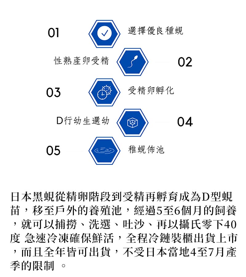 關於我們_日本黑蜆從精卵階段到受精再孵育成為D型蜆苗，移至戶外的養殖池，經過5至6個月的飼養，就可以捕撈、洗選、吐沙、再以攝氏零下40度 急速冷凍確保鮮活，全程冷鏈裝櫃出貨上市，而且全年皆可出貨，不受日本當地4至7月產季的限制