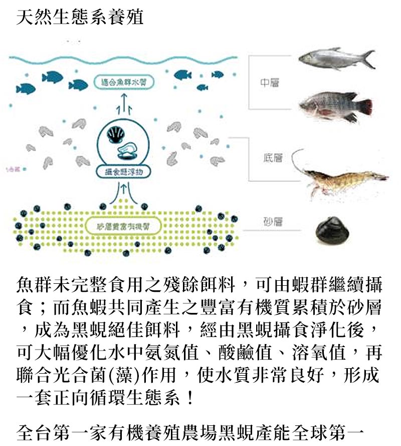 關於我們_天然生態系養殖_魚群未完整食用之殘餘餌料，可由蝦群繼續攝食；而魚蝦共同產生之豐富有機質累積於砂層，成為黑蜆絕佳餌料，經由黑蜆攝食淨化後，可大幅優化水中氨氮值、酸鹼值、溶氧值，再聯合光合菌(藻)作用，使水質非常良好，形成一套正向循環生態系！全台第一家有機養殖農場黑蜆產能全球第一
