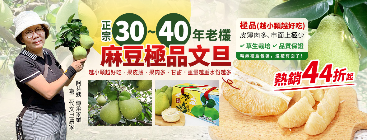 袁愷翔_正宗30~40年老欉麻豆文旦202408