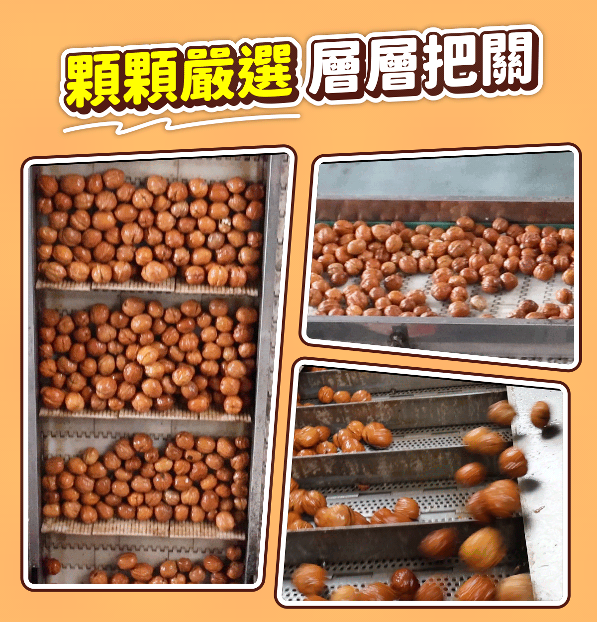 顆顆嚴選，層層把關