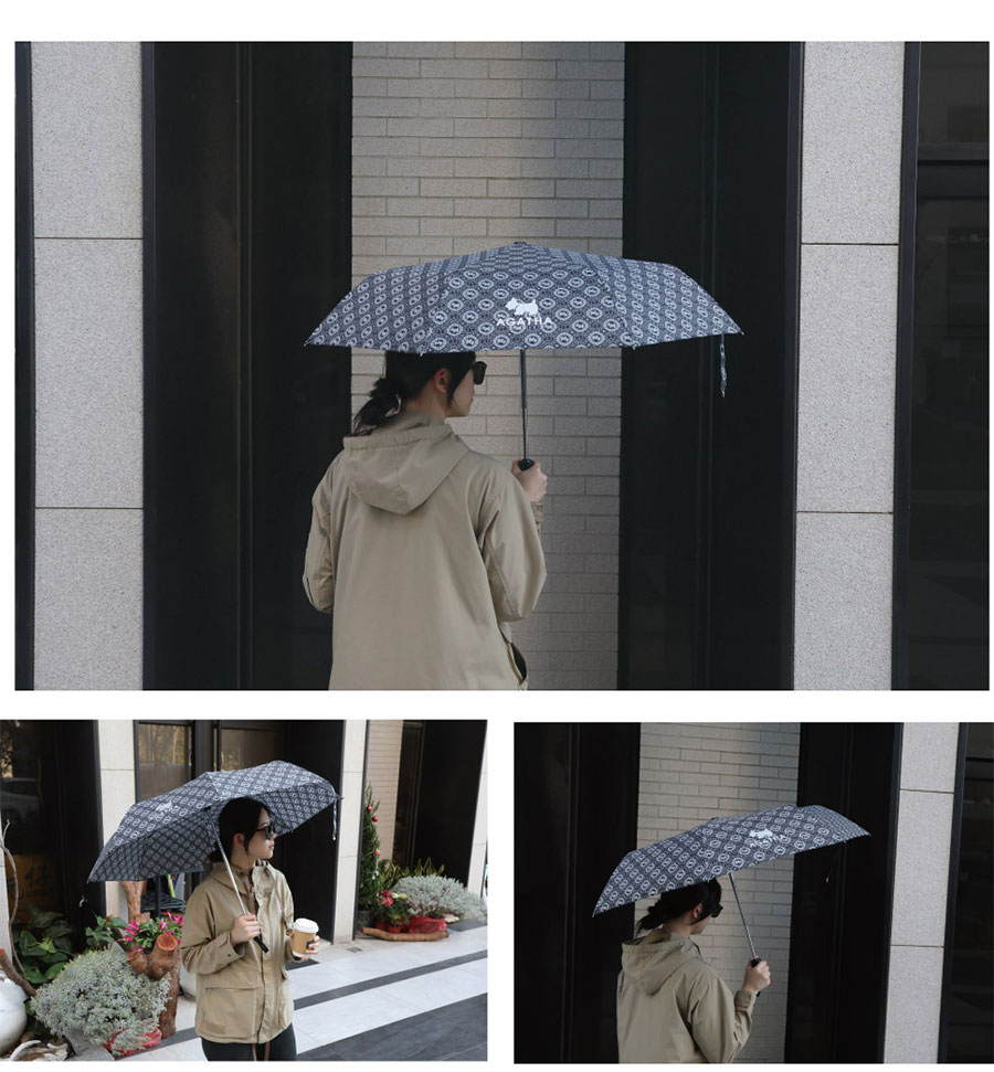 法國名牌AGATHA抗UV自動開收傘情境圖