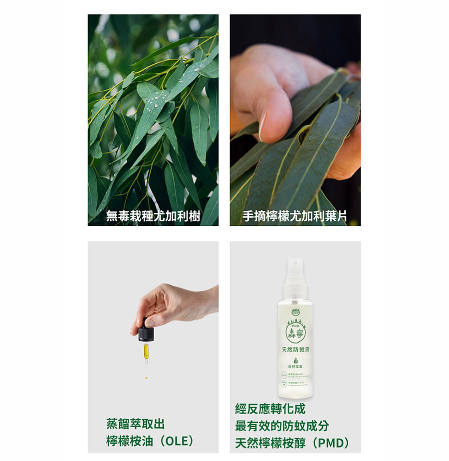 製作過程