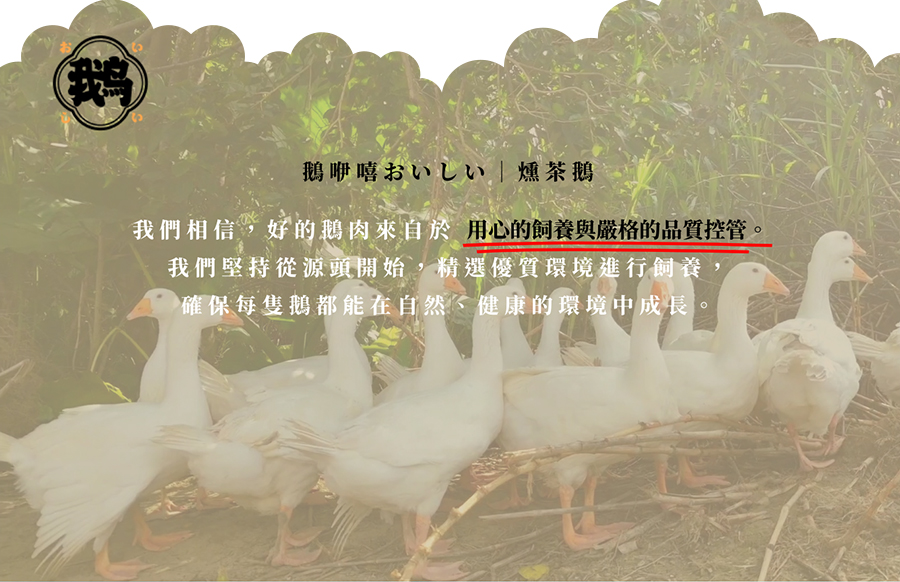 台南關子嶺山下 放養式飼養 高品質鵝肉