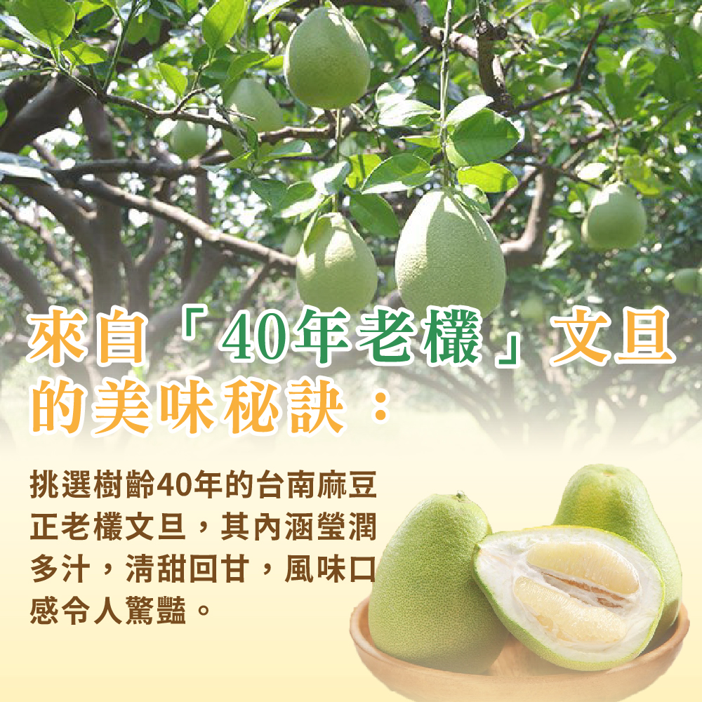 來自『40年的老欉』台南麻豆文旦