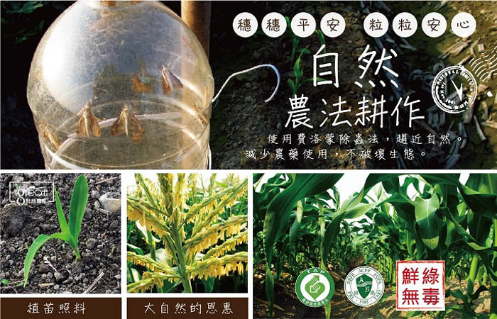 自然耕種法