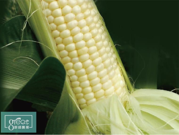 好鮮甜水果玉米