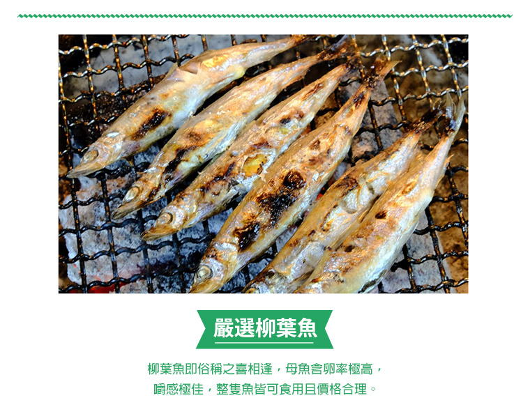 嚴選柳葉魚