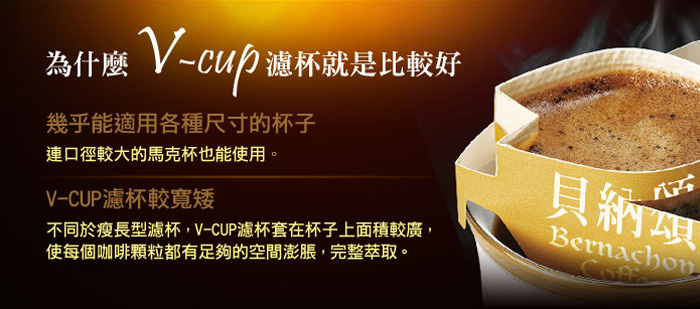 V-cup濾杯