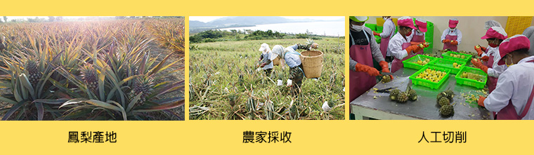 有如拳頭大小的鳳梨